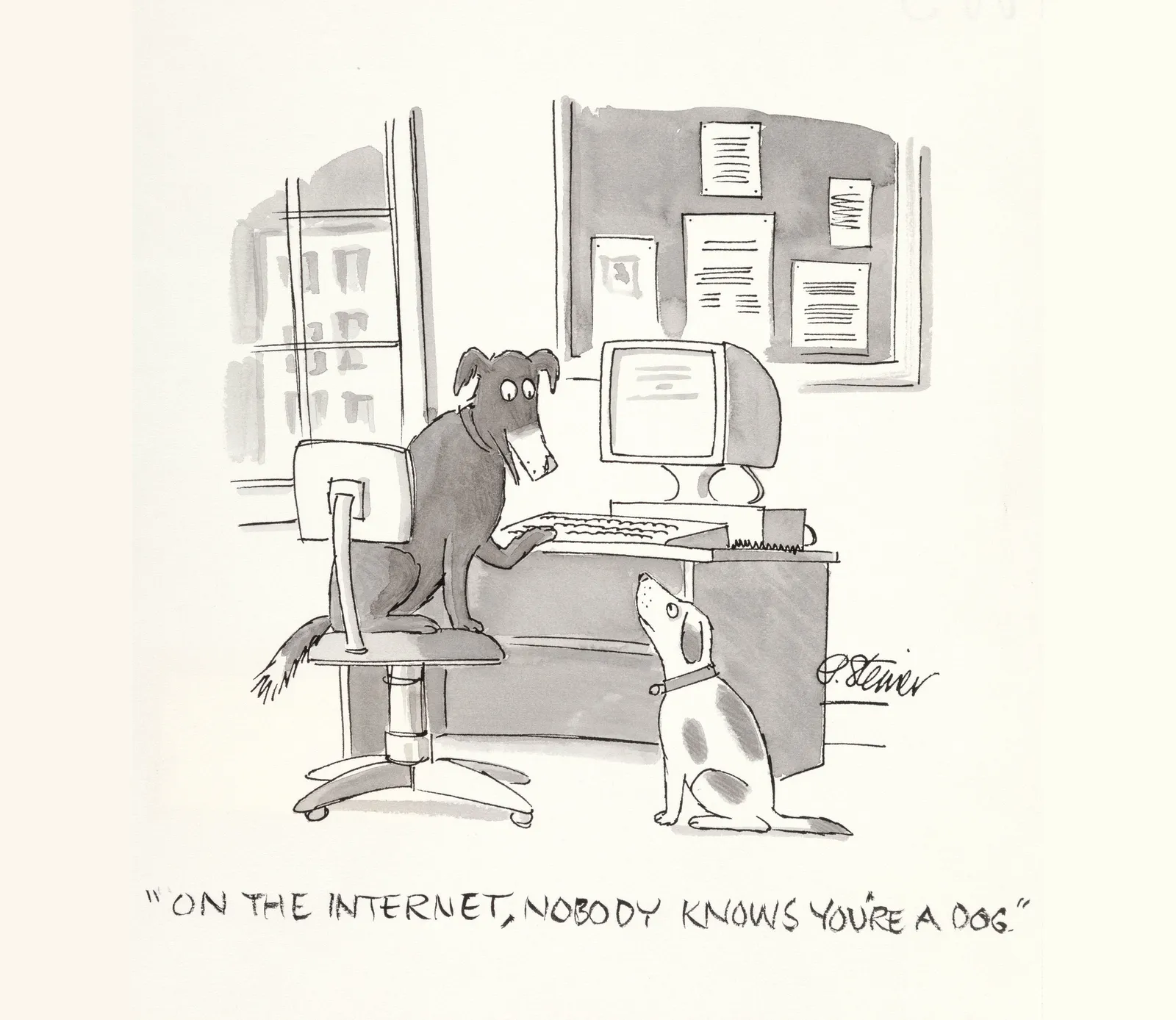 Dog